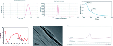 Graphical abstract: A pH-sensitive and sustained-release oral drug delivery system: the synthesis, characterization, adsorption and release of the xanthan gum-graft-poly(acrylic acid)/GO–DCFP composite hydrogel