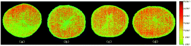 Graphical abstract: A study of starch content detection and the visualization of fresh-cut potato based on hyperspectral imaging