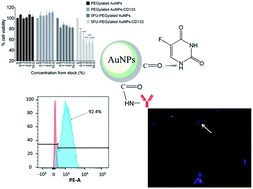 Graphical abstract: Gold nanoparticles conjugated with anti-CD133 monoclonal antibody and 5-fluorouracil chemotherapeutic agent as nanocarriers for cancer cell targeting