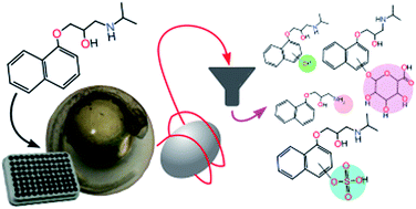 Graphical abstract: Rapid in-plate screening of biotransformation products in single zebrafish embryos