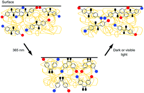 Graphical abstract: Unraveling the surface properties of PMMA/azobenzene blends as coating films with photoreversible surface polarity
