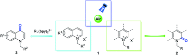 Graphical abstract: Light-driven selective aerobic oxidation of (iso)quinoliniums and related heterocycles