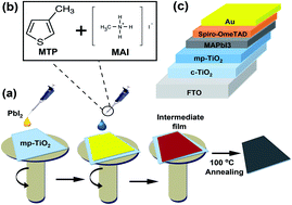 Graphical abstract: A novel 3-methylthiophene additive to boost the performance and stability of perovskite solar cells