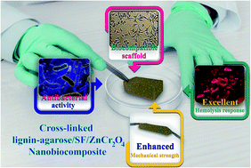 Graphical abstract: Investigation of the biological activity, mechanical properties and wound healing application of a novel scaffold based on lignin–agarose hydrogel and silk fibroin embedded zinc chromite nanoparticles