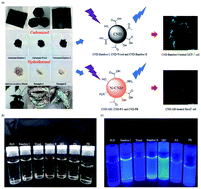 Graphical abstract: Cytotoxicity and cell imaging of six types of carbon nanodots prepared through carbonization and hydrothermal processing of natural plant materials