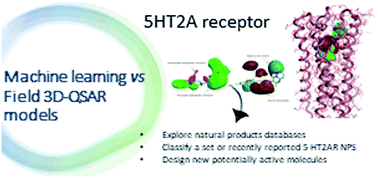 Graphical abstract: Machine learning vs. field 3D-QSAR models for serotonin 2A receptor psychoactive substances identification