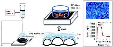 Graphical abstract: A biocompatible polypyrrole membrane for biomedical applications