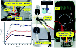 Graphical abstract: Proton exchange membrane and bio-Fenton micro fuel cells for energy harvesting, gas leakage detection, and dye degradation