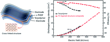 Graphical abstract: Enhanced energy storage density of all-organic fluoropolymer composite dielectric via introducing crosslinked structure
