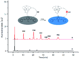 Graphical abstract: Determination of biogenic amines in alcoholic beverages using a novel fluorogenic compound as derivatizing reagent