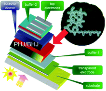 Graphical abstract: Chlorophylls in thin-film photovoltaic cells, a critical review