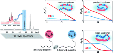 Graphical abstract: Copolymer chain formation of 2-oxazolines by in situ 1H-NMR spectroscopy: dependence of sequential composition on substituent structure and monomer ratios