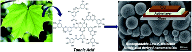 Graphical abstract: Novel biodegradable low-κ dielectric nanomaterials from natural polyphenols