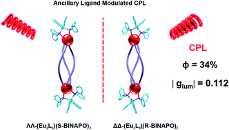 Graphical abstract: Ancillary ligand modulated stereoselective self-assembly of triple-stranded Eu(iii) helicate featuring circularly polarized luminescence