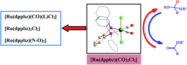 Graphical abstract: Dual utility of a single diphosphine–ruthenium complex: a precursor for new complexes and, a pre-catalyst for transfer-hydrogenation and Oppenauer oxidation