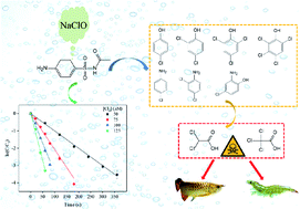 Graphical abstract: Insights into antimicrobial agent sulfacetamide transformation during chlorination disinfection process in aquaculture water