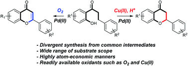 Graphical abstract: Divergent synthesis of flavones and flavanones from 2′-hydroxydihydrochalcones via palladium(ii)-catalyzed oxidative cyclization