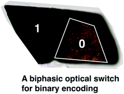 Graphical abstract: Low-energy optical switching of SO2 linkage isomerisation in single crystals of a ruthenium-based coordination complex