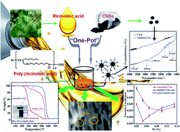 Graphical abstract: The synthesis of nanocarbon-poly(ricinoleic acid) composite as a lubricant additive with improved dispersity and anti-wear properties