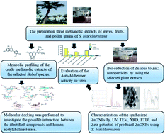 Graphical abstract: Green-synthesized zinc oxide nanoparticles, anti-Alzheimer potential and the metabolic profiling of Sabal blackburniana grown in Egypt supported by molecular modelling