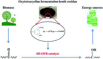 Graphical abstract: Direct use of the solid waste from oxytetracycline fermentation broth to construct Hf-containing catalysts for Meerwein–Ponndorf–Verley reactions