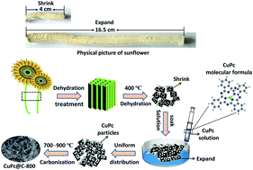 Graphical abstract: A novel and low-cost CuPc@C catalyst derived from the compounds of sunflower straw and copper phthalocyanine pigment for oxygen reduction reaction