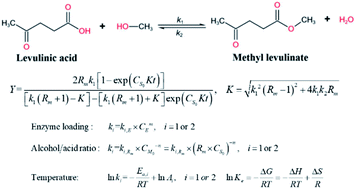 Graphical abstract: The effect of enzyme loading, alcohol/acid ratio and temperature on the enzymatic esterification of levulinic acid with methanol for methyl levulinate production: a kinetic study