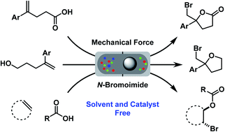 Graphical abstract: Solvent and catalyst-free bromofunctionalization of olefins using a mechanochemical approach