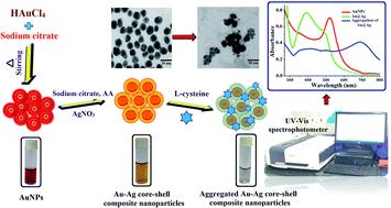 Graphical abstract: Au–Ag core–shell composite nanoparticles as a selective and sensitive plasmonic chemical probe for l-cysteine detection in Lens culinaris (lentils)