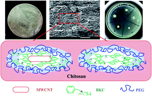 Graphical abstract: Toughened chitosan-based composite membranes with antibiofouling and antibacterial properties via incorporation of benzalkonium chloride