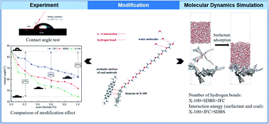 Graphical abstract: Experimental and molecular dynamics study into the surfactant effect upon coal wettability