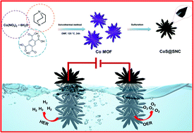 Graphical abstract: A Co-MOF-derived flower-like CoS@S,N-doped carbon matrix for highly efficient overall water splitting