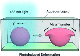 Graphical abstract: Directional mass transfer of azo molecular glass microsphere induced by polarized light in aqueous immersion media