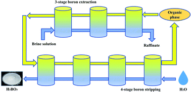 Graphical abstract: Recovery of boron from brines with high magnesium content by solvent extraction using aliphatic alcohol