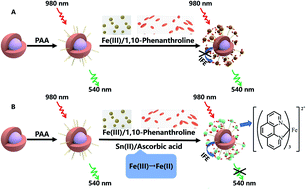 Graphical abstract: Inner filter effect between upconversion nanoparticles and Fe(ii)–1,10-phenanthroline complex for the detection of Sn(ii) and ascorbic acid (AA)