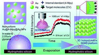 Graphical abstract: The rationality of using core–shell nanoparticles with embedded internal standards for SERS quantitative analysis based glycerol-assisted 3D hotspots platform