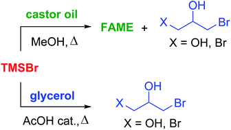 Graphical abstract: Bromotrimethylsilane as a selective reagent for the synthesis of bromohydrins
