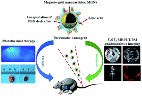 Graphical abstract: Magnetic-gold theranostic nanoagent used for targeting quad modalities T1 & T2-MRI/CT/PA imaging and photothermal therapy of tumours