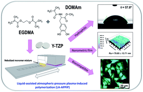 Graphical abstract: Atmospheric pressure plasma liquid assisted deposition of polydopamine/acrylate copolymer on zirconia (Y-TZP) ceramics: a biocompatible and adherent nanofilm
