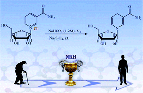 Graphical abstract: Dihydronicotinamide riboside: synthesis from nicotinamide riboside chloride, purification and stability studies