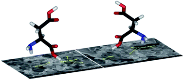 Graphical abstract: Stochastic biosensors based on N- and S-doped graphene for the enantioanalysis of aspartic acid in biological samples