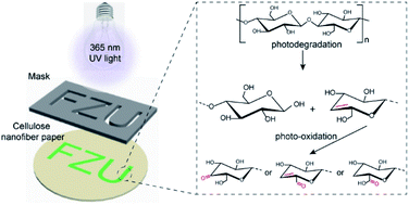 Graphical abstract: Chemically stable fluorescent anti-counterfeiting labels achieved by UV-induced photolysis of nanocellulose