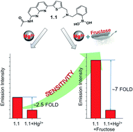 Graphical abstract: Tuning the sensitivity towards mercury via cooperative binding to d-fructose: dual fluorescent chemosensor based on 1,8-naphthyridine-boronic acid derivative