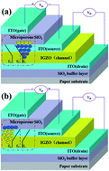 Graphical abstract: Flexible electric-double-layer thin film transistors based on a vertical InGaZnO4 channel