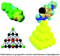 Graphical abstract: Gold nanoclusters as prospective carriers and detectors of pramipexole