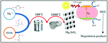 Graphical abstract: Controllable synthesis and characterization of Mg2SiO4 nanostructures via a simple hydrothermal route using carboxylic acid as capping agent and their photocatalytic performance for photodegradation of azo dyes