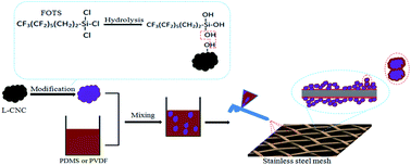 Graphical abstract: A facile preparation of superhydrophobic L-CNC-coated meshes for oil–water separation