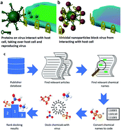 Graphical abstract: Antiviral nanoparticle ligands identified with datamining and high-throughput virtual screening