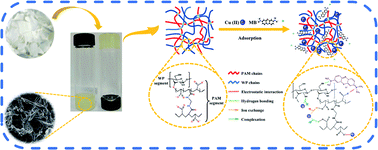 Graphical abstract: Preparation of a double-network hydrogel based on wastepaper and its application in the treatment of wastewater containing copper(ii) and methylene blue