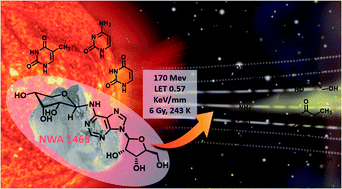 Graphical abstract: Meteorite-catalyzed intermolecular trans-glycosylation produces nucleosides under proton beam irradiation